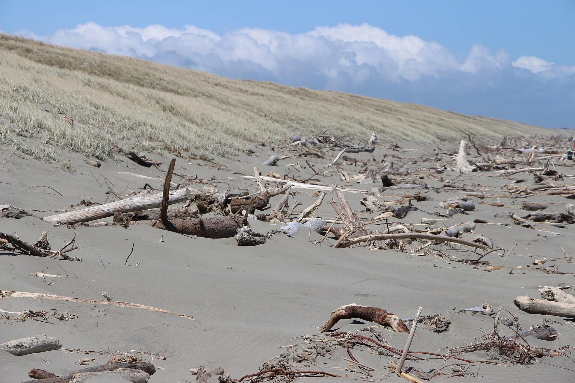 Himatangi Beach, New Zealand: Himatangi Beach, New Zealand