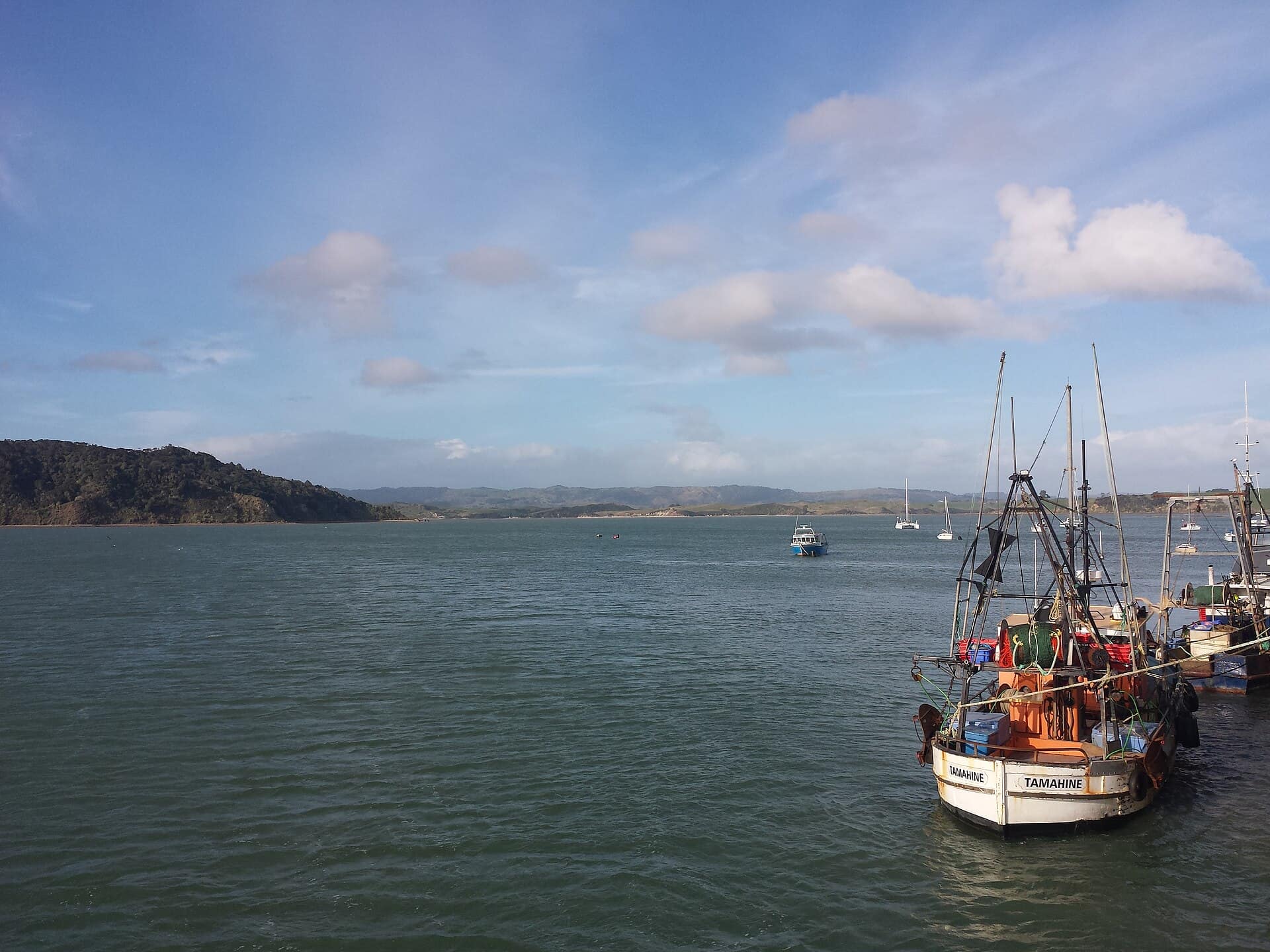 Raglan, New Zealand: Wharf at Raglan New Zealand